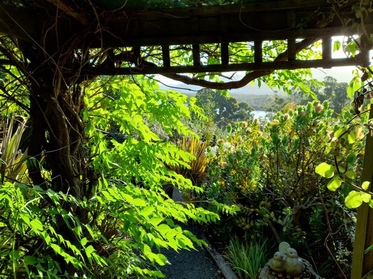 Hillside Bed And Breakfast Huonville Exteriér fotografie