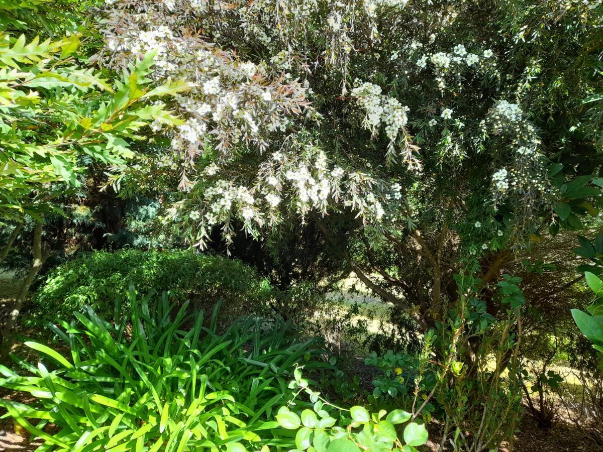 Hillside Bed And Breakfast Huonville Exteriér fotografie