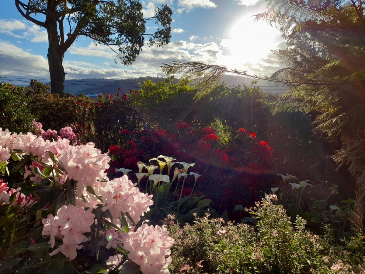 Hillside Bed And Breakfast Huonville Exteriér fotografie