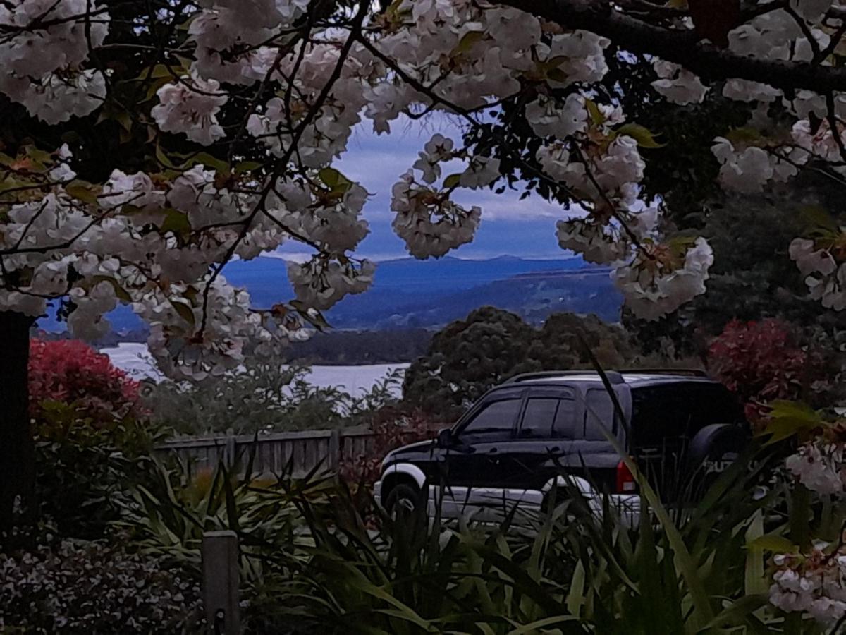 Hillside Bed And Breakfast Huonville Exteriér fotografie