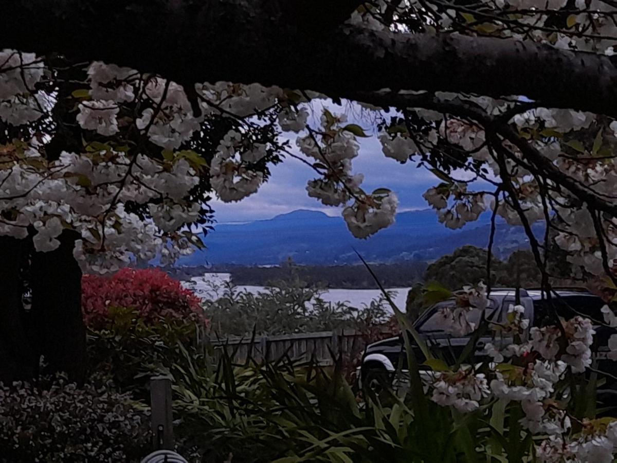 Hillside Bed And Breakfast Huonville Exteriér fotografie