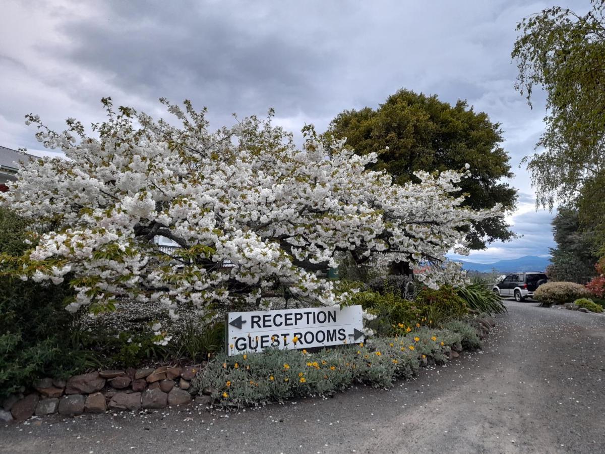 Hillside Bed And Breakfast Huonville Exteriér fotografie