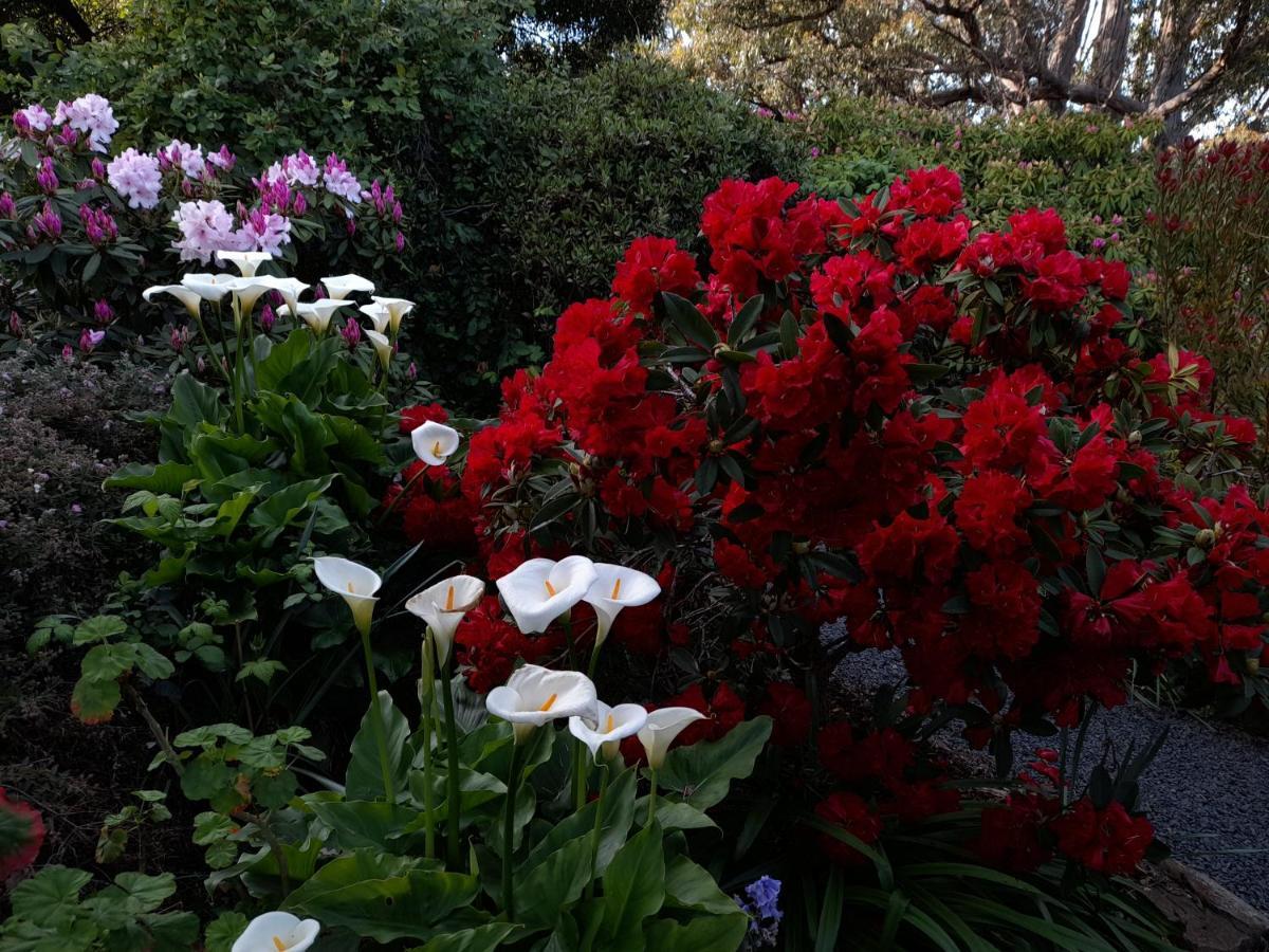 Hillside Bed And Breakfast Huonville Exteriér fotografie