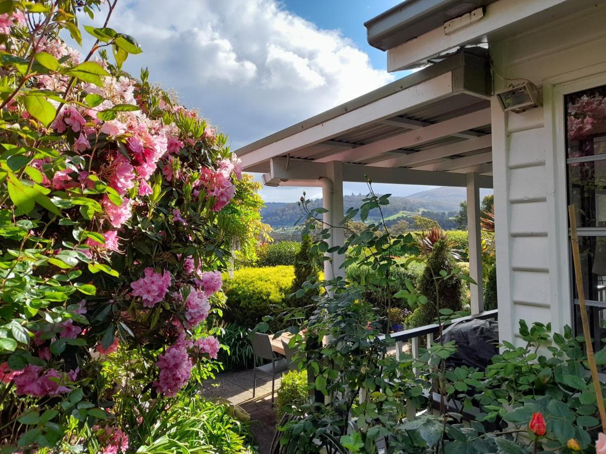 Hillside Bed And Breakfast Huonville Exteriér fotografie