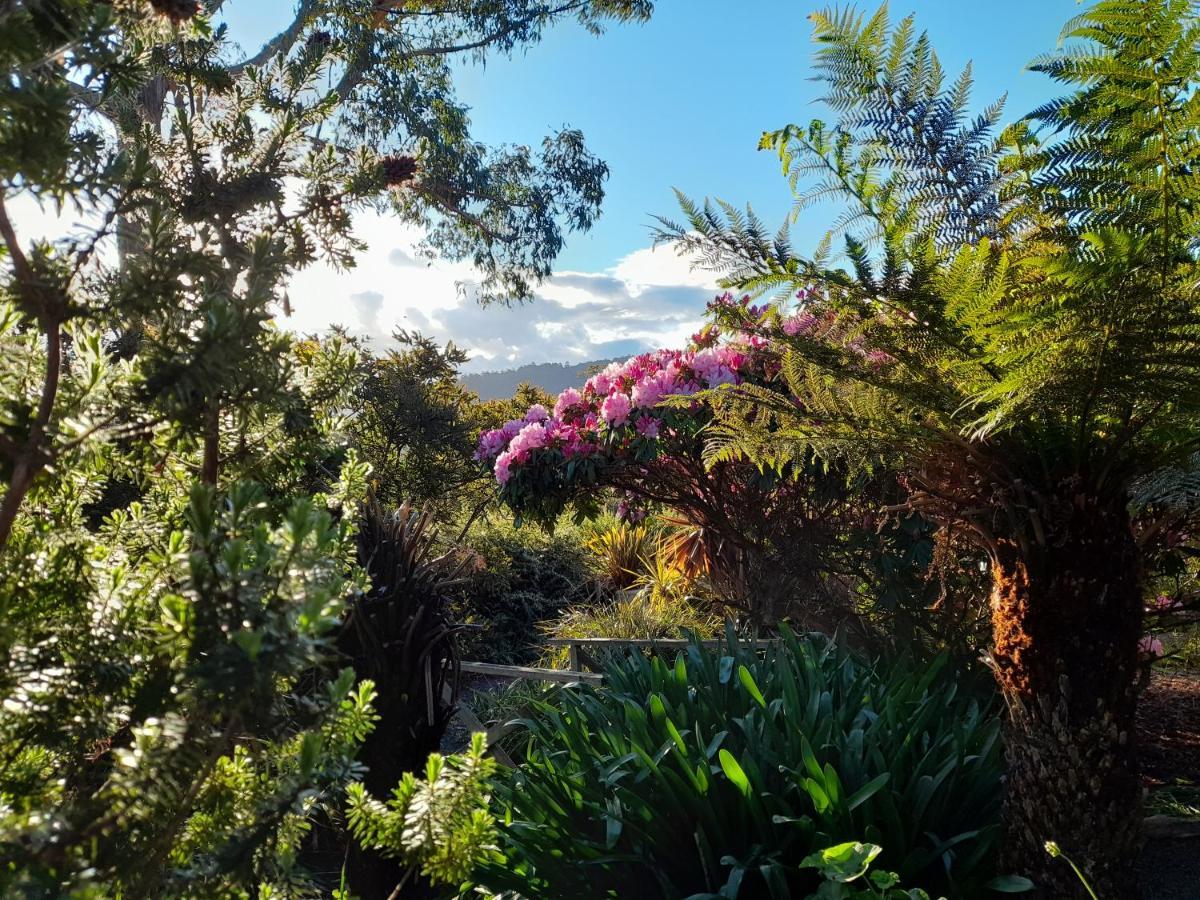 Hillside Bed And Breakfast Huonville Exteriér fotografie