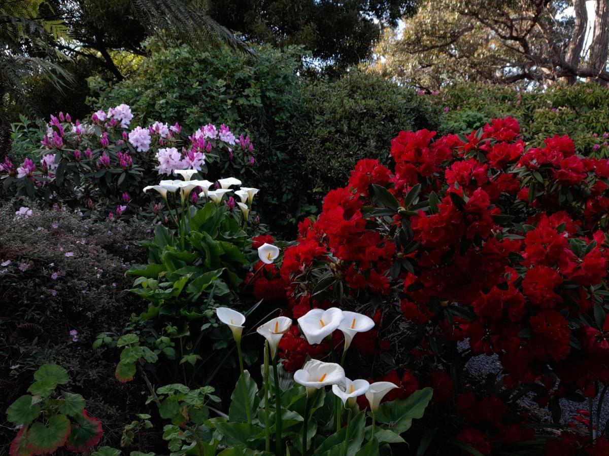 Hillside Bed And Breakfast Huonville Exteriér fotografie
