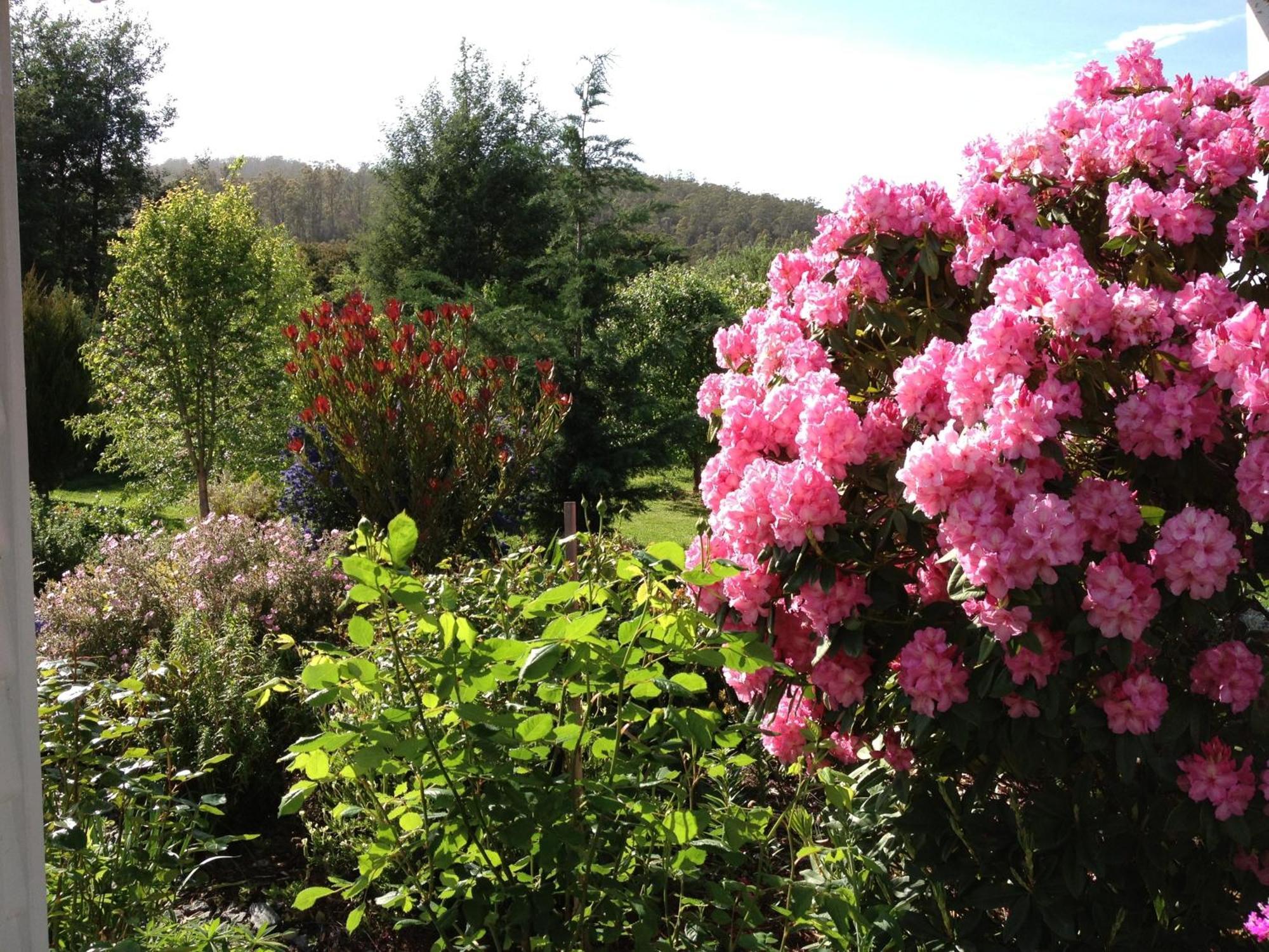 Hillside Bed And Breakfast Huonville Exteriér fotografie